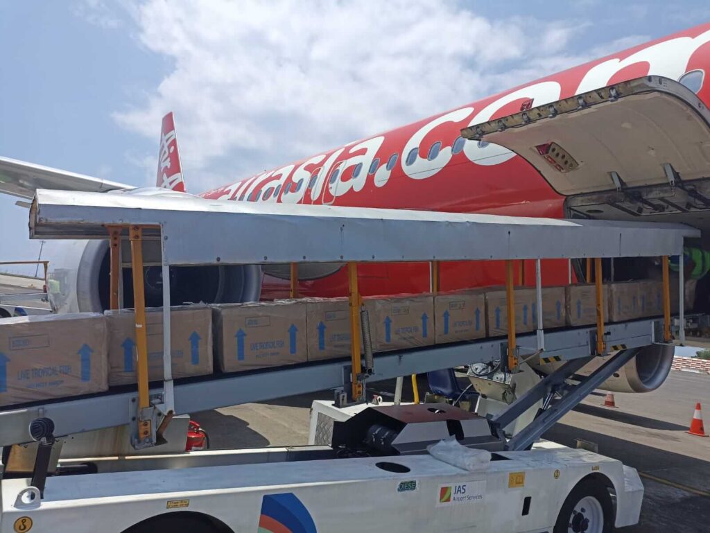 Paket Level Express Jasa Pengiriman Barang ke Luar Negeri Murah - Global Paket